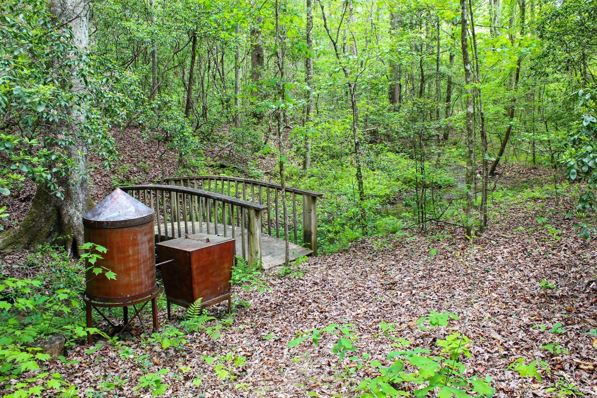 Sautee Nacoochee Mtn Paradise With Spacious Deck! Eksteriør bilde